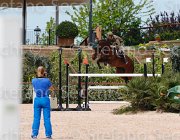 MARTINI DI CIGALA PUPILLO CampITA2013- S5 0516 : Campionati Italiani 2013, Cattolica, Horse Riviera Resort, MARTINI DI CIGALA FILIPPO, PUPILLO DELL'ESERCITO ITALIANO, foto di Stefano Secchi ©